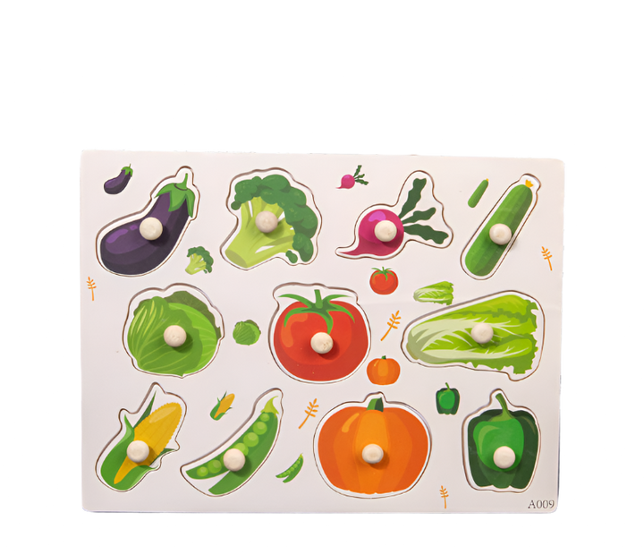 Education Puzzle Toys - Model CET06