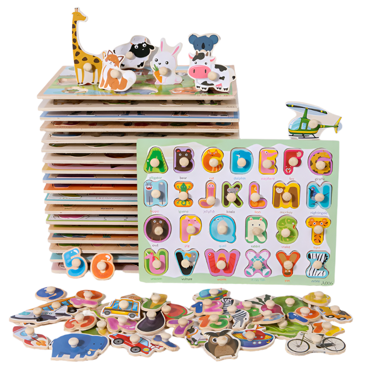 Education Puzzle Toys - Model CET04