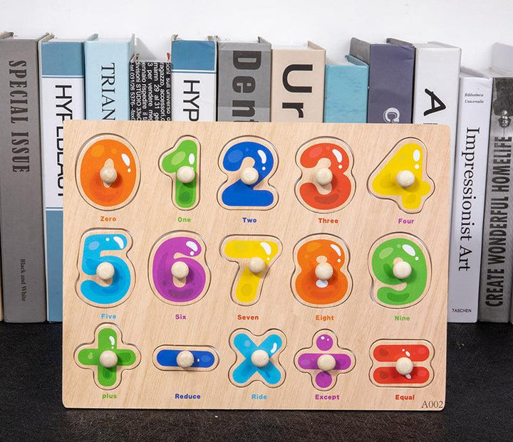 Education Puzzle Toys - Model CET05