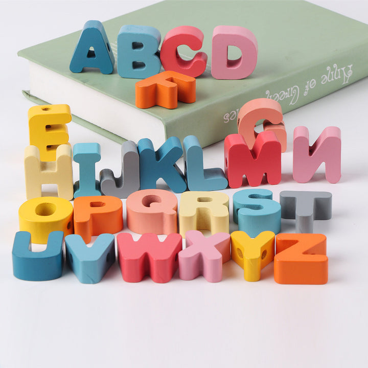 Education Puzzle Toys - Model CET08