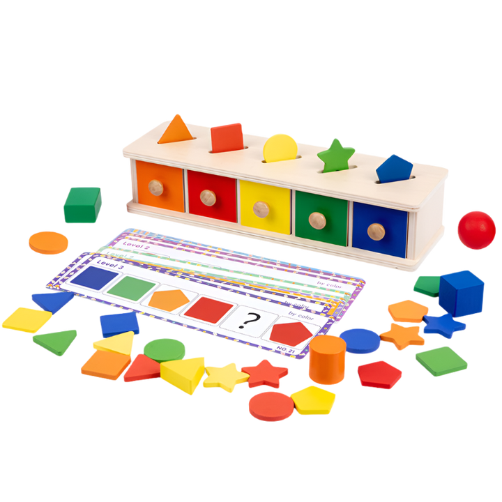 Geometry Shapes Education Puzzle Toys - Model CET02
